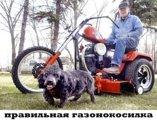 Мем