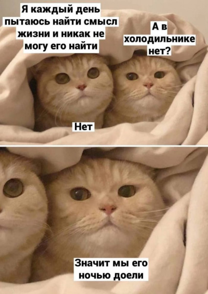 Мем, Mghost