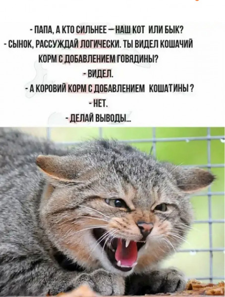 Мем, Микки Маус