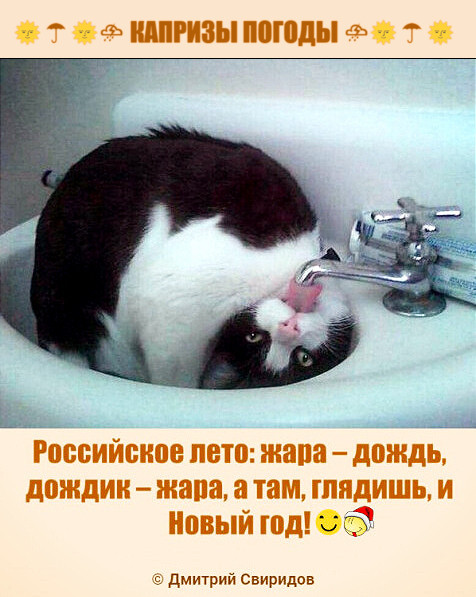 Мем
