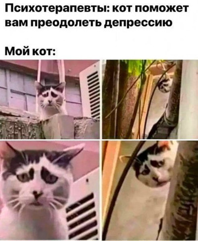 Мем, Микки Маус