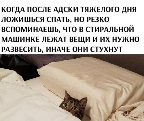 Мем, Микки Маус