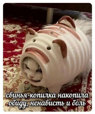Мем, Микки Маус