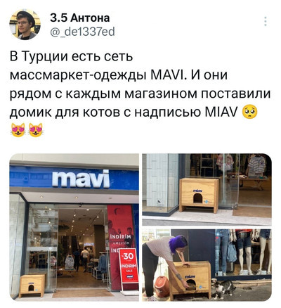 Мем, Микки Маус