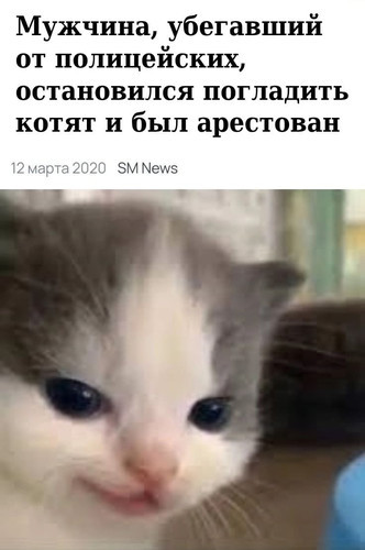 Мем, Микки Маус