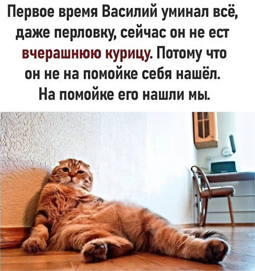 Мем, Микки Маус