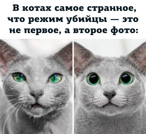 Мем, Микки Маус
