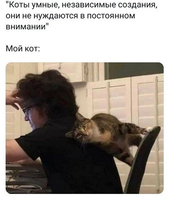 Мем, Микки Маус