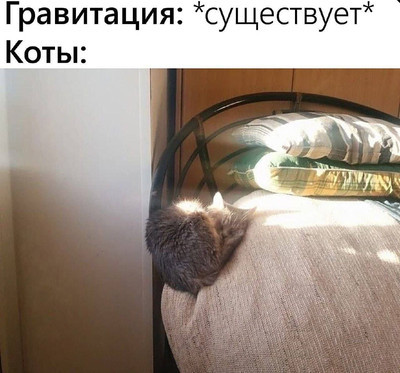 Мем, Микки Маус