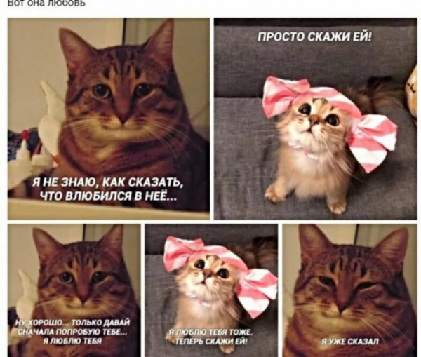 Мем, Микки Маус