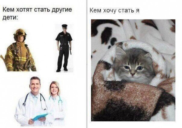 Мем, Mghost