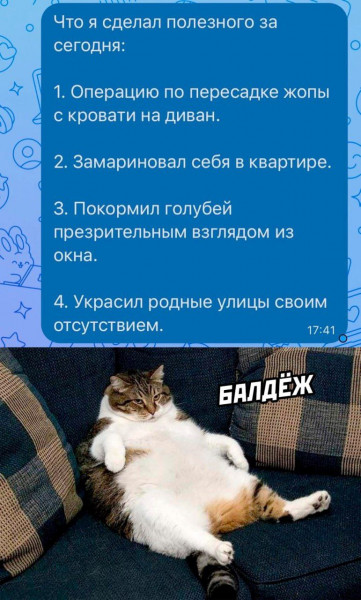 Мем: Балдёж, henh