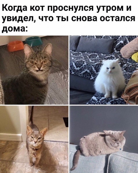 Мем, Микки Маус