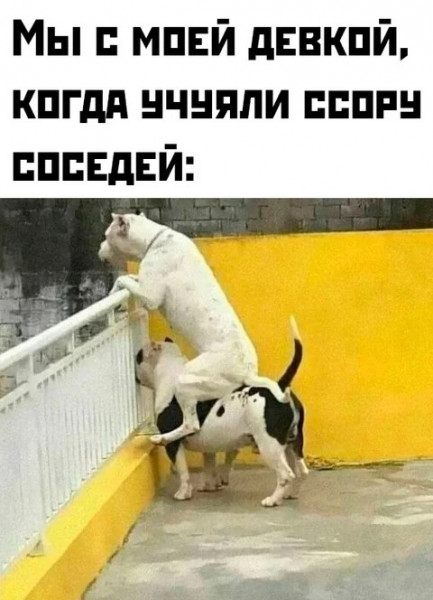 Мем