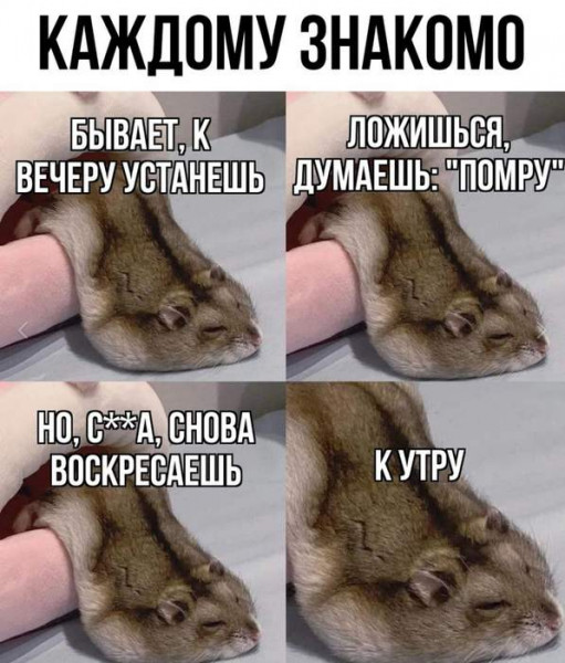 Мем, Mghost