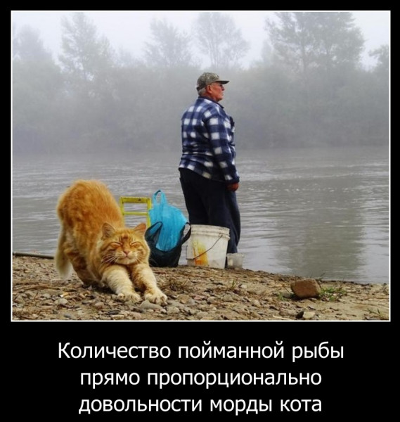 Мем, Волгоградский рыболов