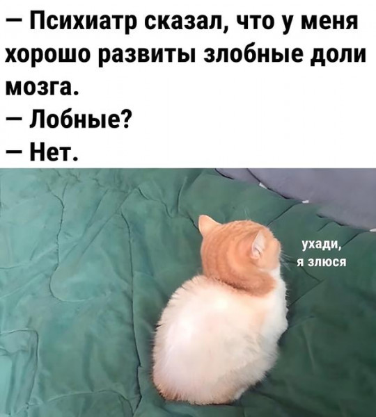 Мем, Mghost