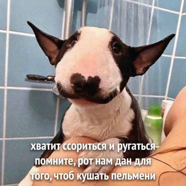 Мем, Mghost