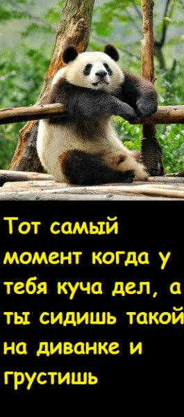 Мем, Лис Интересный