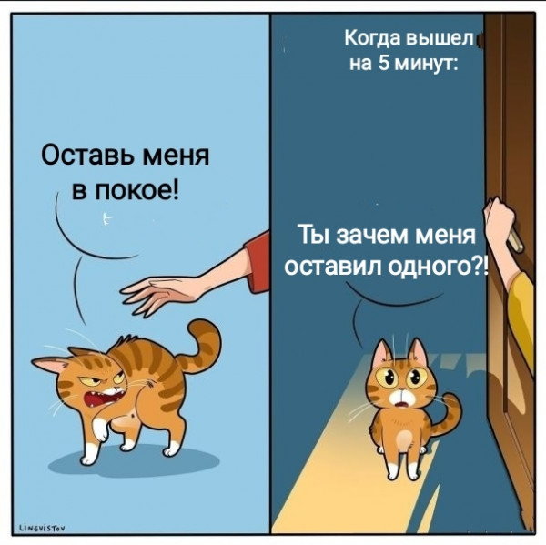 Мем, Рысь