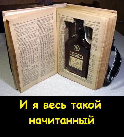 Мем, Лис Интересный