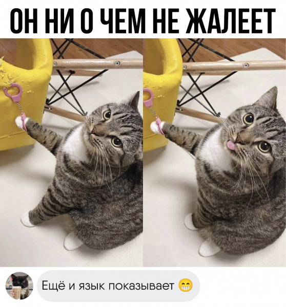 Мем: Он ни о чем не жалеет., henh