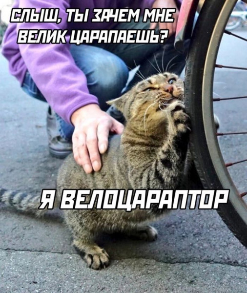 Мем, Mghost