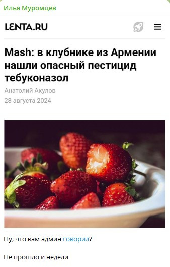 Мем, Mghost