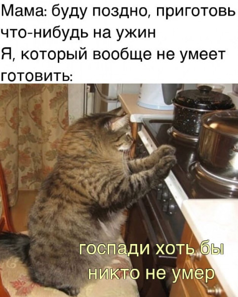 Мем, Микки Маус