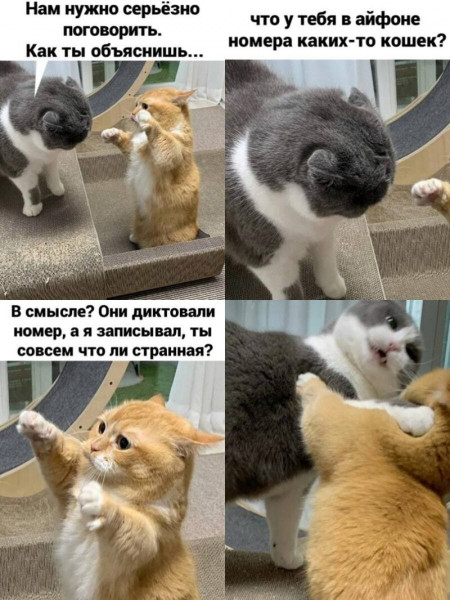 Мем, Микки Маус