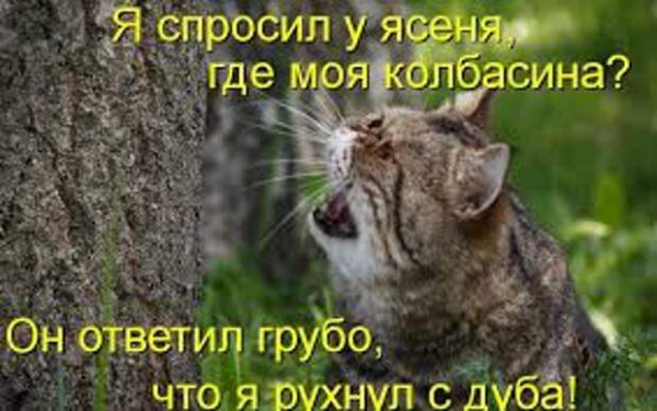 Мем, Микки Маус