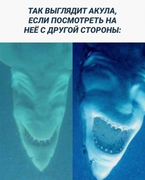 Мем, Kuzyma