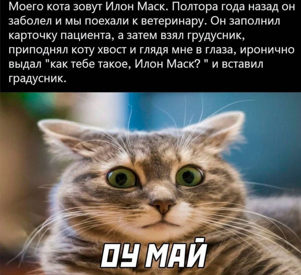 Мем: Вот это поворот., henh