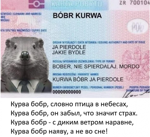 Мем