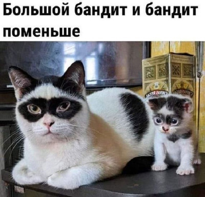 Мем, Микки Маус