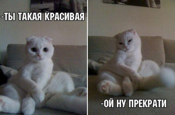 Мем, Микки Маус