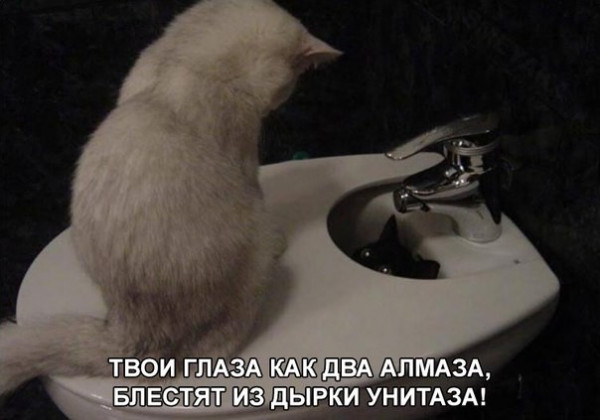 Мем, Микки Маус