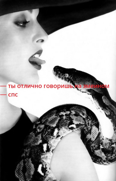 Мем, Мгновение