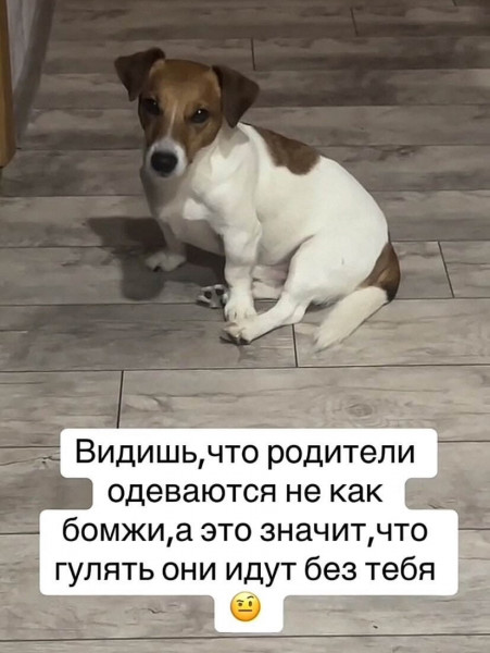 Мем, Леонид Хлыновский