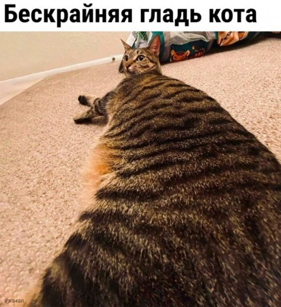 Мем: Добрый юмор в меме, iteam