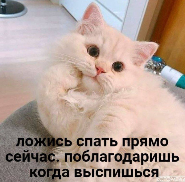 Мем, Микки Маус