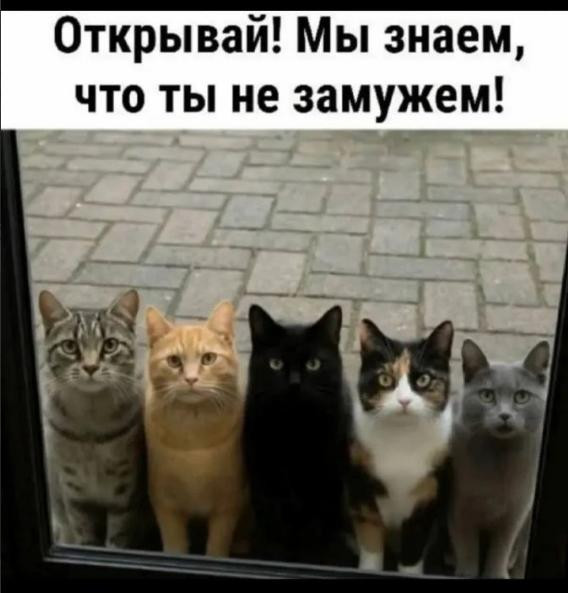 Мем, Ю