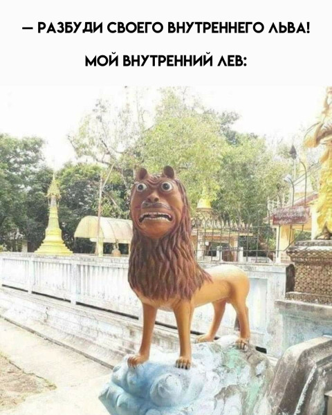 Мем, Бука