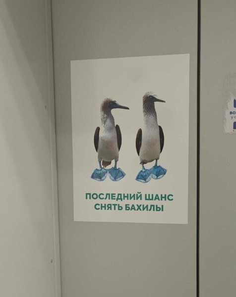 Мем: Кажется мы что-то забыли., henh