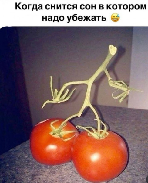 Мем: Побег из Шоушенка., henh