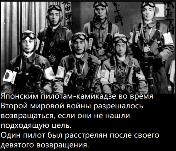 Мем, immar