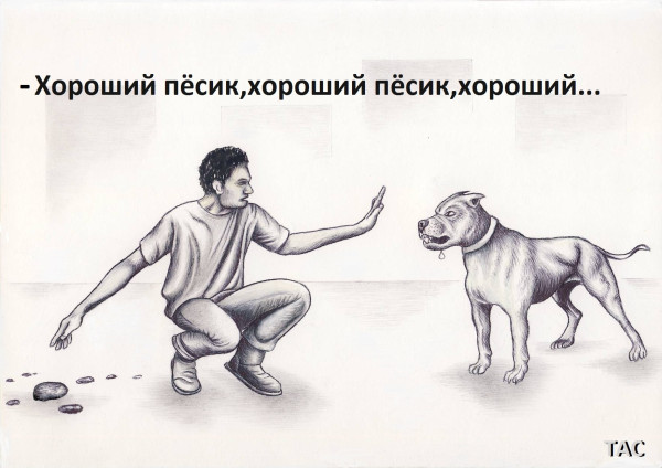 Мем: Дипломат, Александр Троицкий