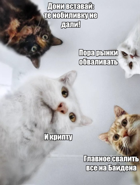 Мем, Bassplayer