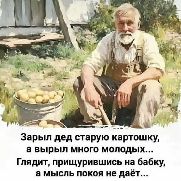 Мем, Ashmedai