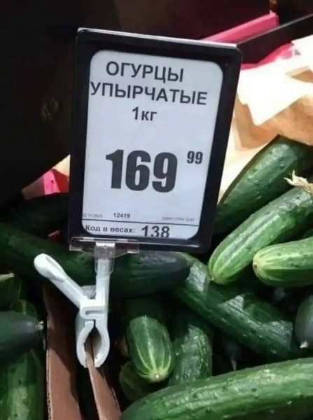 1760290712.jpg